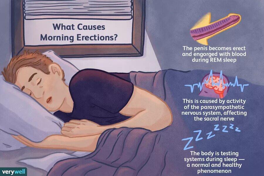 Morning erections